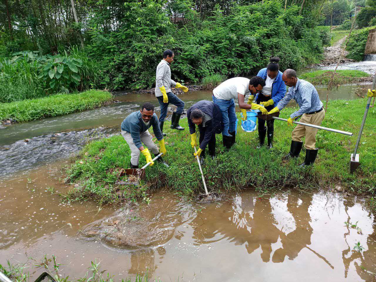 Ethiopian researchers fishing for snails in a water body. The snails are being collected for a study to map their distribution, which helps track the spread of schistosomiasis, a neglected tropical disease.